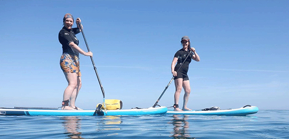 Paddle boarding in the sea