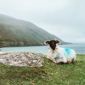 Achill Island- early booking promotion
